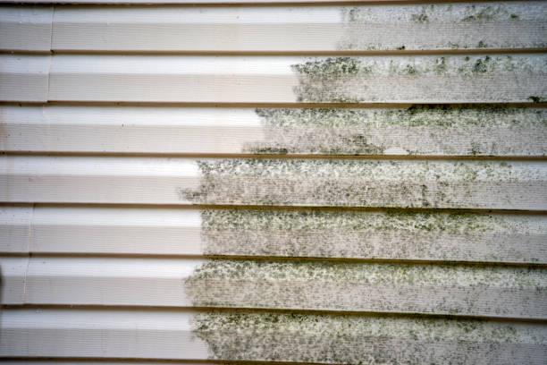 Best Stone Veneer Siding  in Mint Hill, NC